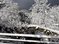 Aydın'da Kar Yağışı İle Kartpostallık Görüntüler Oluştu Haberi