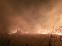 Çarşamba'da Orman Yangını