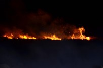 Samsun'da Sazlık Yangını Haberi