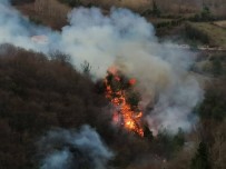 Sinop'taki Orman Yangını Söndürüldü Haberi