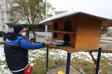 Büyükşehir, Kar Yağışında Can Dostlarını Unutmadı