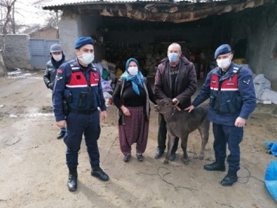 JASAT Hayvan Hırsızlarını Gürcistan'a Kaçarken Yakaladı