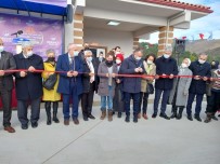 Sokak Hayvanlarına 5 Yıldızlı Tesis