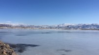 Bingöl Karlıova'da Gölet Buz Tuttu Haberi