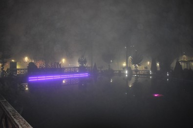 Malatya'da Yoğun Sis Kartpostallık Görüntüler Oluşturdu