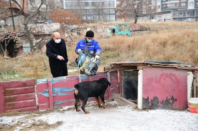 Mamak'ta Sokak Hayvanları Sahipsiz Değil
