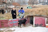 Mamak'ta Sokak Hayvanları Sahipsiz Değil