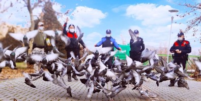 Polis Ekipleri Sokak Hayvanlarını Unutmadı