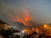 Rusya'da Yeni Yıl Kutlamalarında Atılan Havai Fişekler Orman Yangınına Neden Oldu