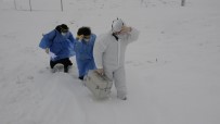 Araçları Yolda Kalan Sağlıkçılar Karlı Dağları Yürüyerek Saadet Nine'nin Aşısını Yaptı