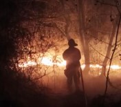 Adil Öksüz'ün Çanta Gömdüğü İddia Edilen Bölgede Orman Yangını Haberi
