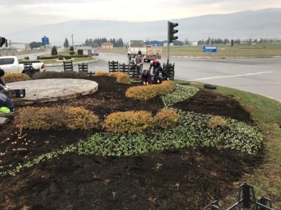 Büyükşehirden Ağaç Bakımı, Dezenfekte Ve Yol Yapım Çalışmaları