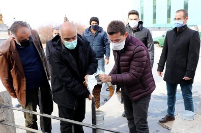 İliç'te Sokak Hayvanları Unutulmadı