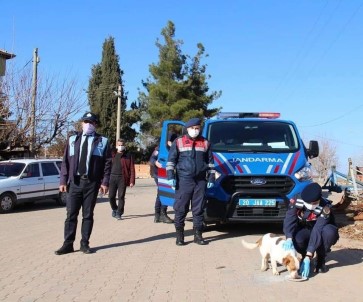 Jandarmadan Sokak Hayvanlarına Şefkat Eli