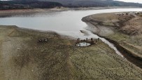 Kuruyan Ömerli Barajı'nda Mahsur Kalan Yavru Balıkları Kurtarma Operasyonu Havadan Görüntülendi Haberi