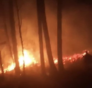 Orman Yangınını Köylüler Söndürdü