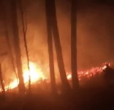 Orman Yangınını Köylüler Söndürdü Haberi
