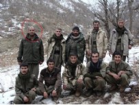 SURİYE - PKK'da son dakika: Kan donduran tecavüz çığlığı!