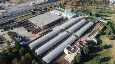 Dört Mevsim Güzelliğine Doyulmayan Sincan Sera Park