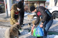 Jandarma Soğuklardan Etkilenen Sokak Hayvanlarını Unutmadı Haberi