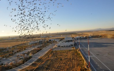 Şırnak Şerafettin Elçi Havalimanında Bu Yılın İlk 9 Ayında 250 Bin Yolcu Taşındı