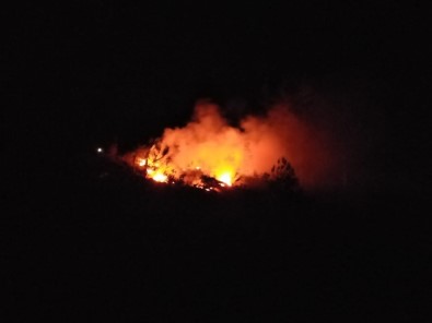 Adana'daki Orman Yangını Söndürüldü
