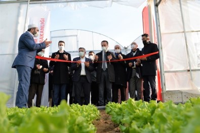 14 Dekar Alana 980 Bin Lira Hibeyle Yapılan Yüksek Plastik Tünel Serası Dualarla Açıldı