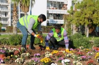 Erdemli Belediyesi Yılda 20 Bin Bitki Üretiyor Haberi