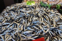 Hamsi Avcılığı Kısmi Olarak Durduruldu