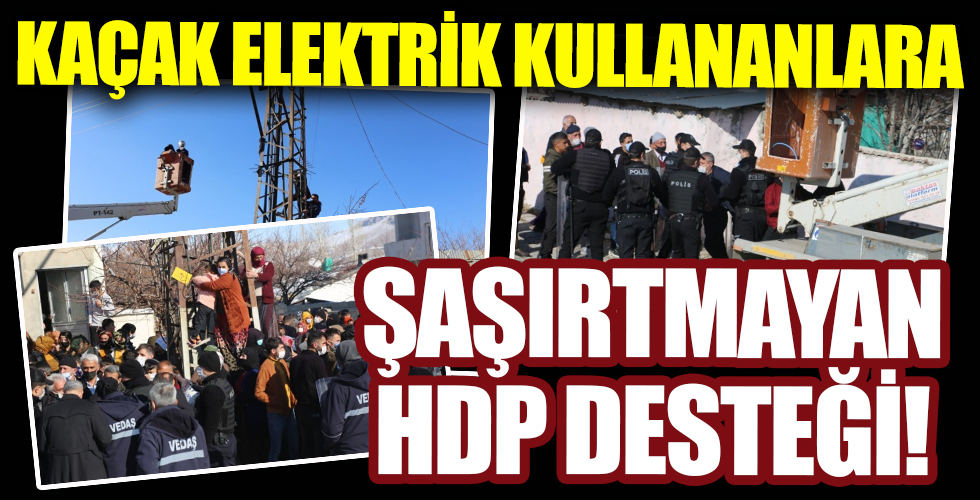 HDP'den kaçak elektrik kullanımında ısrar eden hanelere destek ziyareti!