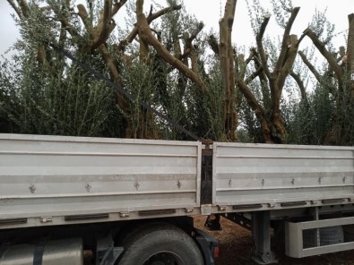 İznik'te Tarihî Satış...