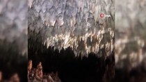 Küre Dağları Milli Parkı'nda 5 Yeni Mağara Tespit Edildi Haberi