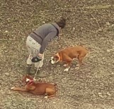 Antalya'da Sokak Ortasında Vicdanları Sızlatan Görüntüler