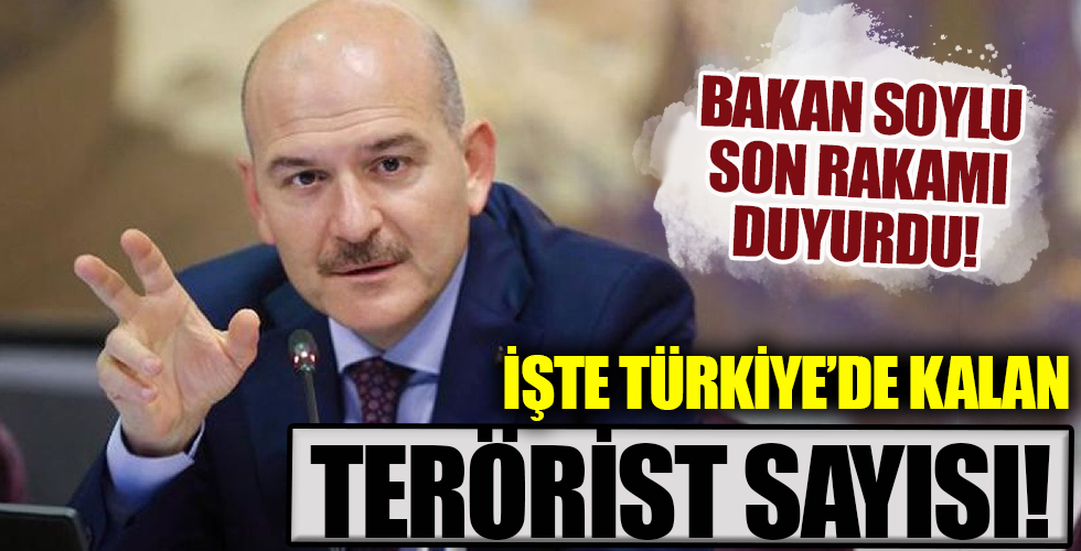 Bakan Soylu Türkiye'de kalan terörist sayısını açıkladı!