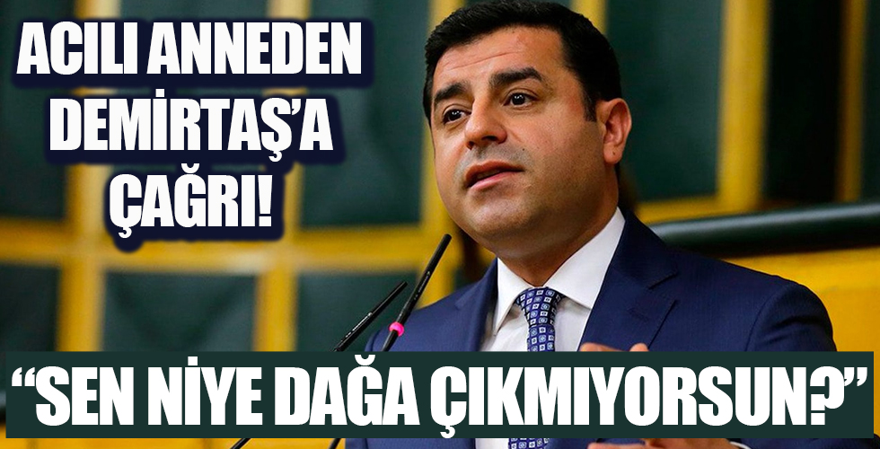 Diyarbakır Annesi'nden Selahattin Demirtaş'a sert soru!