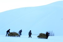 Yüksekovalı Çiftçiler Soğuk Havaya Rağmen Dağdan Kızakla Ot Taşıyor