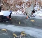 Buz Tutan Nehirde Elleriyle Balık Avladılar