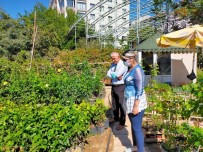 Malatya'da 'Sarka Virüsü' Alarmi