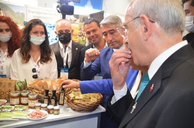 Marmaris'in Yer Fistigina Yogun Ilgi