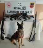 Mus'ta Silah Kaçakçiligi Operasyonunda 4 Kisi Gözaltina Alindi