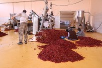 (Özel) Küçük Tesiste Üretilen Pul Biberler Avrupa, Ingiltere Ve ABD'ye Ihraç Ediliyor