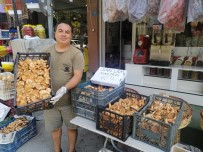 Sari Çam Mantari Dag Köylülerinin Geçim Kapisi Oldu