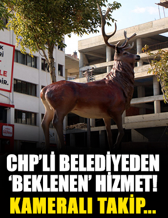 CHP'li Bolu Belediyesi'nin geyik heykellerine kameralı takip