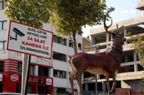 CHP'li Bolu Belediyesi'nin geyik heykellerine kameralı takip