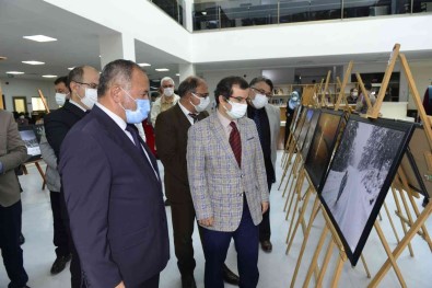 'Doga Ve Insan' Sergisi Açildi