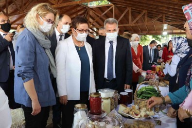 'Kiz Kardesim Projesi' Adana'da Hayata Geçiyor