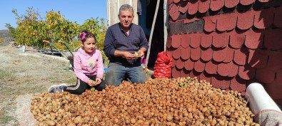 Köyüne Dönüs Yapti, Kurdugu Ceviz Çiftligiyle Siparislere Yetisemiyor