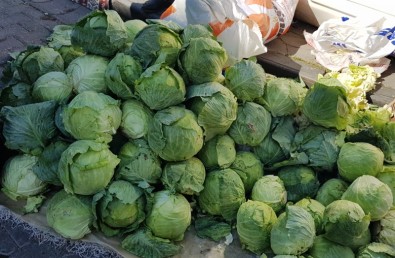 Üreticiler Alucra Keleminin Tescillenmesini Istiyor