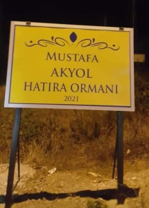 Vefat Eden Ögretmenin Adi Hatira Ormaninda Yasayacak