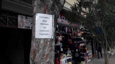 Agaca Astigi Notla Insanlara Çöp Atmamalari Için Yalvardi